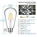 LED Edison Bulb Dimmable 60W Equivalent 800 Lumens, Daylight White 4000K, 6W ST64 Vintage LED Filament Light Bulbs, Antique Style Lighting, E26 Medium Base, Pack of 6