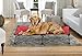 Carlson Pet Products Carlson Elevated Dog Bed, Indoor or Outdoor Dog Bed for Large Dogs, Red