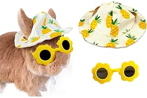 NOPIKKU Cute Small Summer Hat and Glasses Costume Outfit Accessories for Pet Bunny Kitten Guinea Pig Chinchillas (Pineapple)