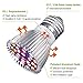 Grow Light Bulb, PATHONOR Pack of 4 Upgraded Full Spectrum 28W E27/ E26 LED Grow Light Bulbs with 1 Adapter Cable, Grow Plant Light Bulb for Hydroponics Greenhouse Organic Succulent Flowers Vegetable