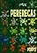 Livro Pererecas (Animais e Algo a Mais)