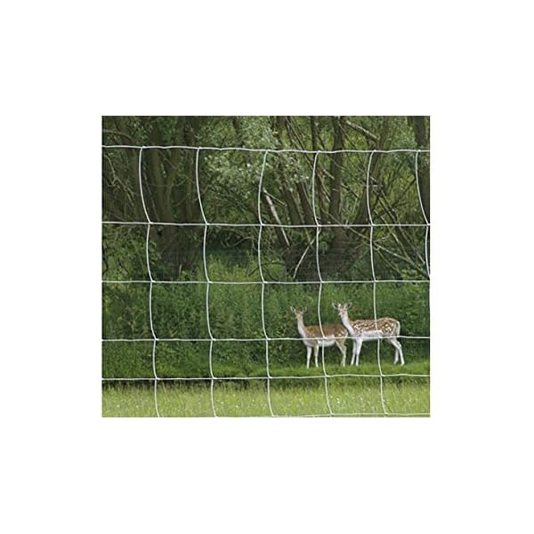 rg-vertrieb Wildzaun 50m Forstzaun Weidezaun Drahtzaun Knotengeflecht 180cm 3 Größen (180/16/15) – Bild 4