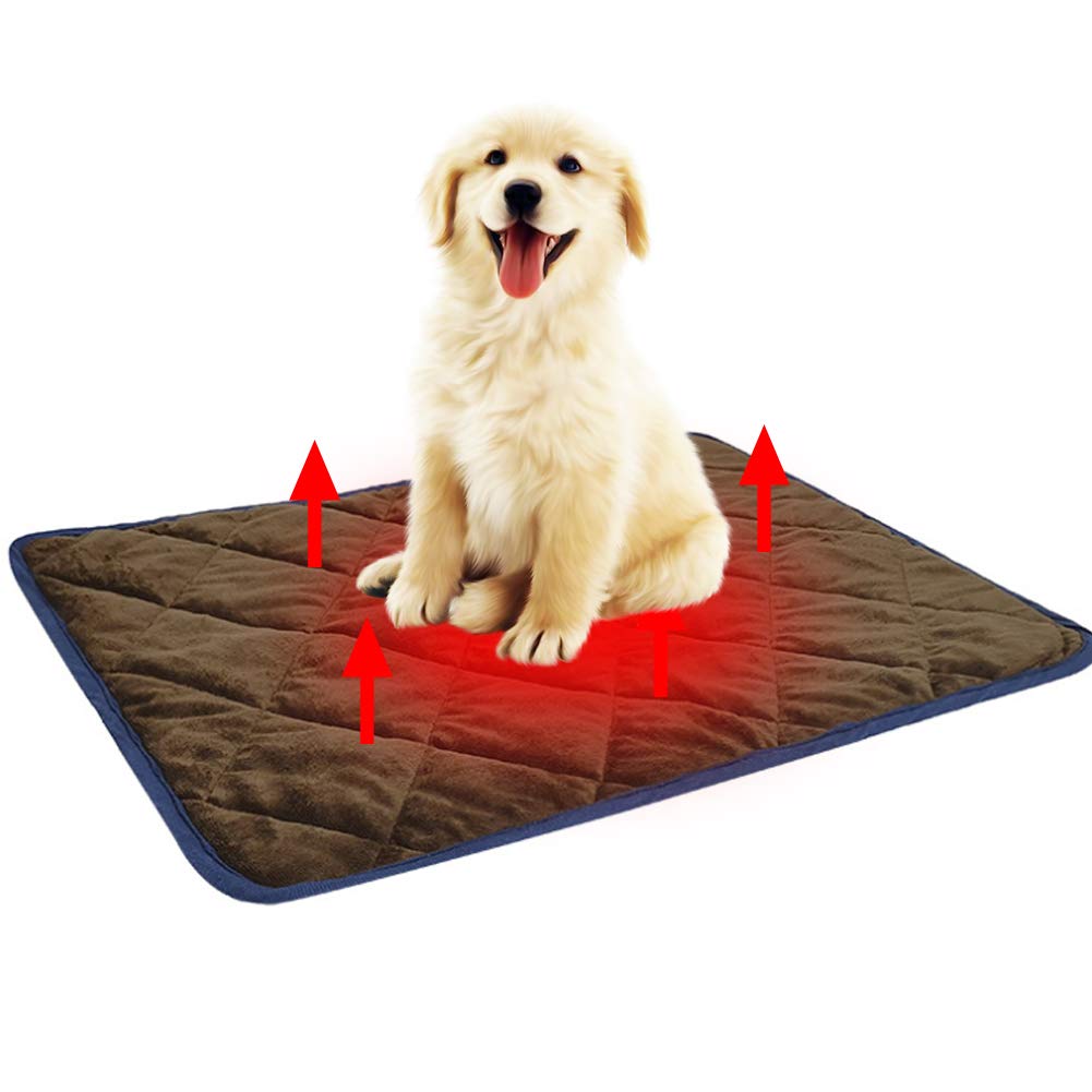 The 10 Best Dog Self Heating Pad Jumbo