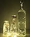 Wine Cork Lights, Anipopy 6 Pack Rechargeable Bottle Fairy String Lights with 15 LED for DIY, Party, Decor, Christmas, Halloween,Gift,Wedding (Warm White)