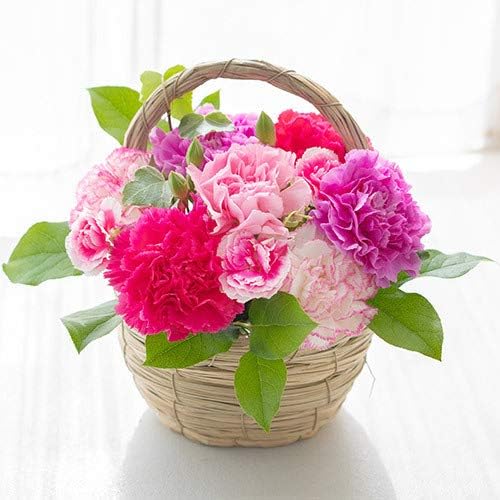 日比谷花壇 母の日 花 ギフト プレゼント アレンジメント「メルシーママン」