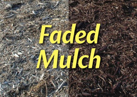 EnviroColor CB0032 851612002032 2,400 Sq. Ft. Cocoa Brown Mulch Color Concentrate, 2400 Square Feet
