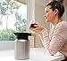 Hastings Collective Thermal Coffee Carafe 50 Oz - Large Stainless Steel Insulated Carafe - 1.5 Liter Double Walled Vacuum Thermos Coffee and Beverage Dispenser with Tea Infuser and Strainer (Silver)