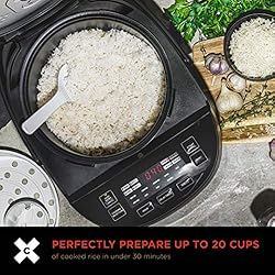 Crux 20 Cup Induction Rice