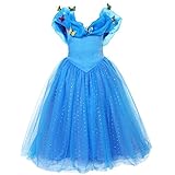Pettigirl Girls Princess Dress Blue Butterfly Queen Costume Big Size 10-11 yrs