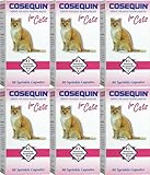 Nutramax Cosequin Feline for Cats 480ct (6 x 80ct)