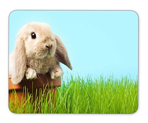 Baby Easter Bunny On Spring Green Grass Mouse Pad Office Mouse Pad Gaming Mouse Pad Mouse Mat MousePad Non-slip Rubber Backing