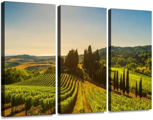 Download Amazon Com Casale Marittimo Village Vineyards And Landscape In Desktop Wallpaper Wallpaper Amazon Com Casale Marittimo Village Vineyards And Landscape In For iPhone