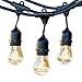 Newhouse Lighting Outdoor String Lights with Hanging Sockets Weatherproof Technology Heavy Duty 48-foot Cord 18 Lights Bulbs Included (1 Free Replacement), Black