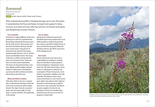 Mountain States Foraging: 115 Wild and Flavorful Edibles from Alpine Sorrel to Wild Hops (Regional Foraging Series) - Thumbnail 6