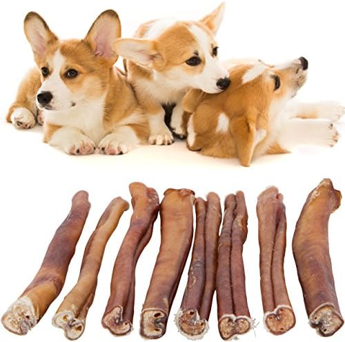 Natural Dog Chews Long Lasting - Wag Haus Premium Beef Pizzle Dog Treats, Mix of Thick, Thin, Standard and Jumbo Bully Sticks, 12 inch Beef Sticks Packaged in the USA in 15 ounce Re-sealable Bag