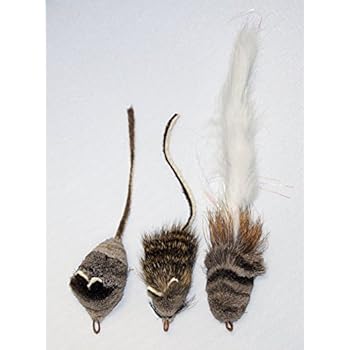 Catcher: Cat City 2 Movie Dvd Quality 