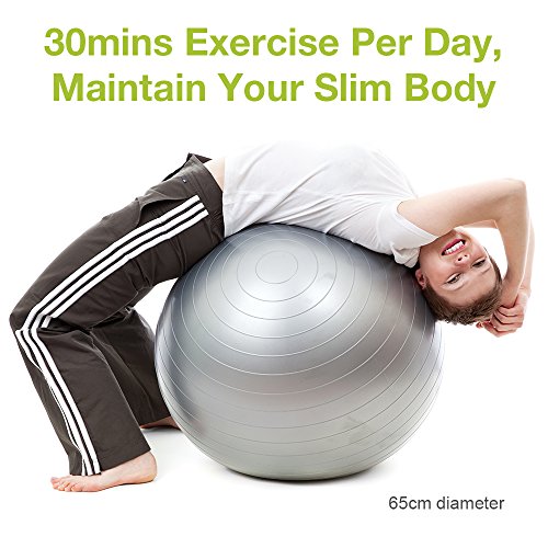 Exercise Ball, Cozzine 65CM Fitness Balance Ball with Hand Pump, Workout Guide, Anti Burst Flexible Seating Stability Ball Yoga Gym Exercise Equipment for Women, Men (Office/Home)