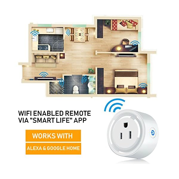 google home mini smart life