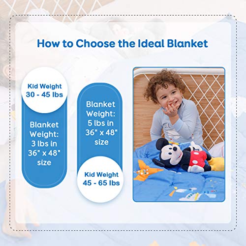 Wemore Kids Weighted Blanket 5 lbs 36 x 48 inches,100% Natural Cotton and Premium Glass Beads Heavy Weight to Relax and Stimulate Quality Sleep, Blue Airplane