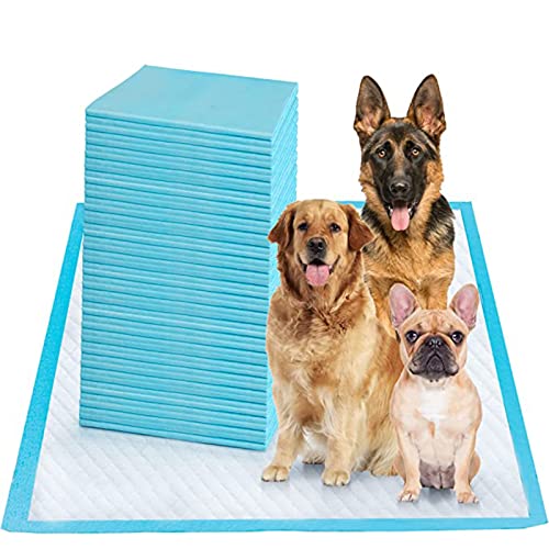 LICHENXI Almohadillas Desechables para Entrenamiento de Mascotas y Almohadillas para Orinal para Mascotas, súper absorbentes y a Prueba de Fugas, Perros, Gatos, Conejos (60x60cm (40 pcs))