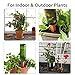 GROWNEER 6-Pack Terracotta Plant Watering Stakes, Automatic Garden Watering Spikes, Self-Watering Device Vacation Plant Waterer, for Indoor Outdoor Home and Office Plants