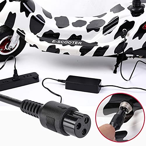 EVAPLUS 24V Scooter Battery Charger for Razor E100 E200 E200S E175 E300