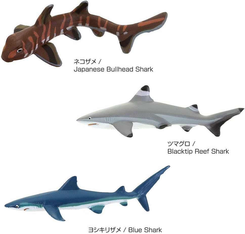Amazon カロラータ サメの仲間 フィギュア 立体図鑑 魚 リアル フィギュアボックス 解説書付き 食品衛生法クリア 12種 フィギュア ドール 通販