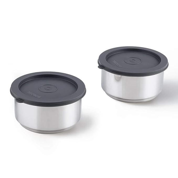 borosil carry fresh stainless steel insulated lunch box