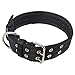 Pesp Dog Metal Buckle Double 2-Rows Belt Strap Adjustable Collar Large L (Black)