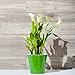 Santino Arte 6.5 in. Self-Watering Planter