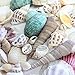 Fantastic Set of 90 Assorted Natural Sea Shells Beach Ocean