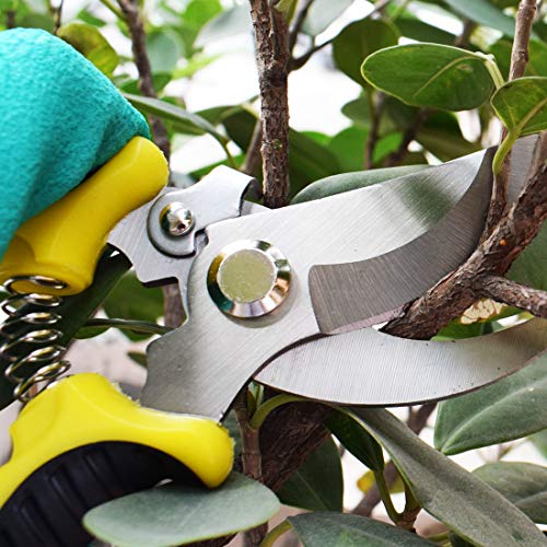 BoHoFarm Gardening Shears Garden Cutter Pruner Clippers Stainless Steel Bypass Pruning Kit Hydroponic Set of 3 - Thumbnail 4