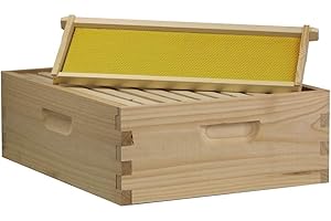 BUSY BEES Amish-Made Medium Honey Super Box (10 Frame)