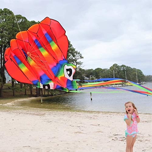 image for Cool Bank 2PCS Large Rainbow Octopus outdoor kite for kids and Adults 
