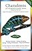 Chameleons: Care and Breeding of Jackson's, Panther, Veiled, and Parson's (Herpetocultural Library) by Gary Ferguson, Kenneth Kalisch