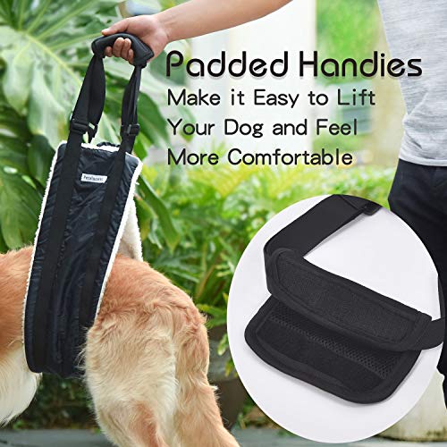 Petslucent Dog Carrier Sling for Back Legs, Pet Leg Lifter Hip Back Support Help Em Up Harness for Medium & Large Dogs Senior, Injured, Disabled and After ACL Surgery for Canine Aid - Thumbnail 2