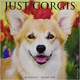 Just Corgis 2019 Wall Calendar (Dog Breed Calendar) Just Corgis 2019 Wall Calendar (Dog Breed Calendar)
