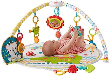 fisher price deluxe gym