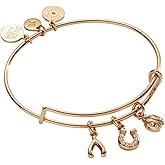 Alex and Ani Love and Luck Multi-Charm Bangle