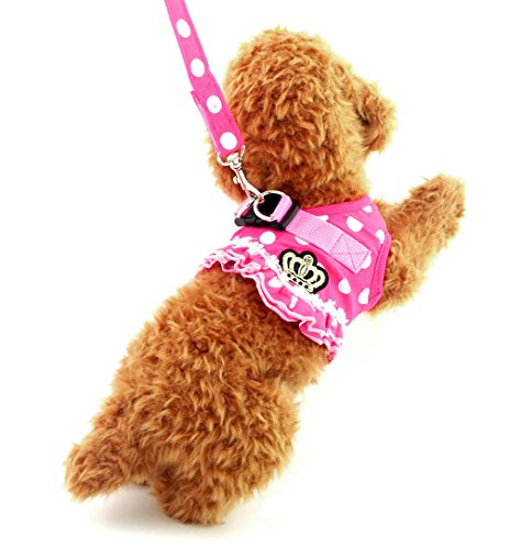 SMALLLEE_LUCKY_STORE Small Dog Cat Sweet Dots Pattern Vest Harness Leash Set Mesh Padded Lead Pink M