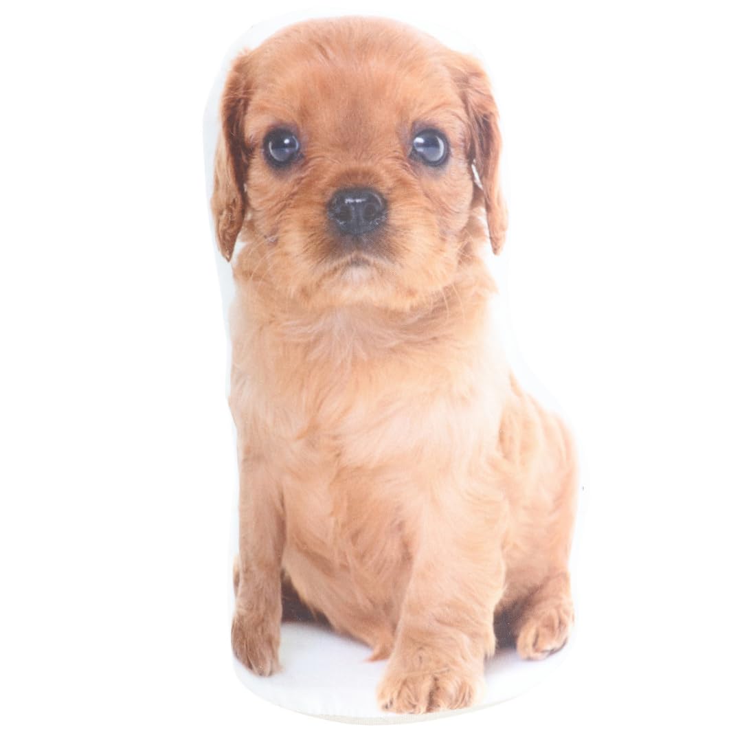 Splosh Adopt A Doorstop Puppy. Ruby The Spaniel Dog Door Stop. Door Stoppers for Kids. Dog Bedroom, Room Decor & Home Decor.