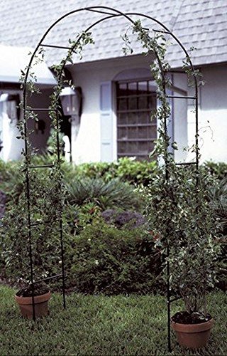 Hi Gartenbogen für Kletterpflanzen und Rosen – 140 x 240 x 37 cm – Gartentor – Rosenbogen Metall – für EIN Märchenstück im Garten – Bild 3