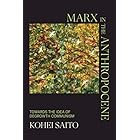 Marx in the Anthropocene: Towards the Idea of Degrowth Communism