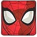 Jay Franco Marvel Decorative Pillow Cover Spiderman - Red