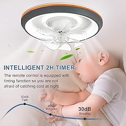 DLLT Modern Ceiling Fans with Lights, 360-Degree