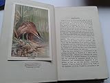 Front cover for the book Birds in England : an account of the state of our bird-life and a criticism of bird protection by E. M. Nicholson
