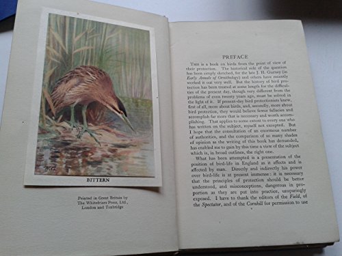 Birds in England : an account of the state of our bird-life and a criticism of bird protection