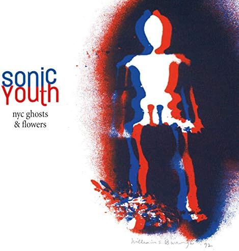 Sonic Youth - A Thousand Leaves[2 LP] - Amazon.com Music