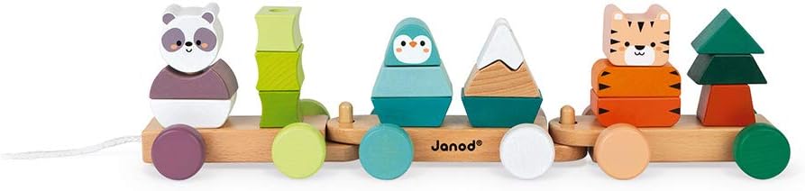 Janod, Wooden Train, La Balade Des Animaux, Wooden Activity Toy, to Develop Fine Motor Skills, Learn COLOR_NAMEs