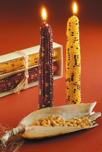 tag Autumn Harvest Corn Taper Candle Set Of 2